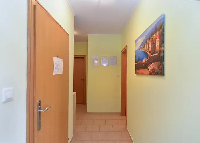 Anto 1772 * Пула